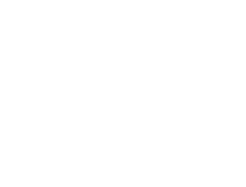 white cybersecurity logo